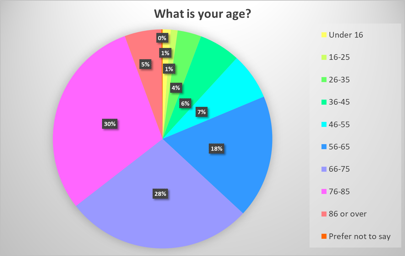 Pie_Chart_12.jpeg